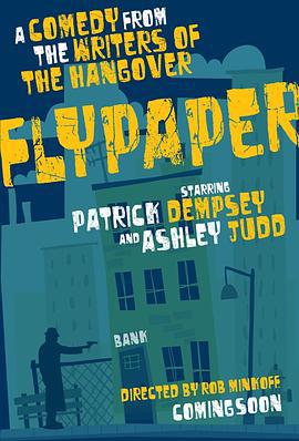 捕蝇纸 Flypaper (2011)海报