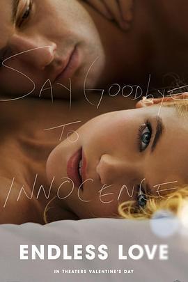 无尽的爱 Endless Love (2014)海报