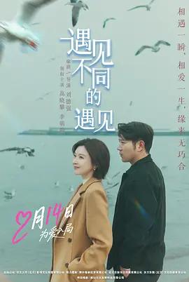 遇见不同的遇见 (2026)海报