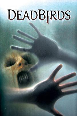 索魂恶鸟 Dead Birds (2004)海报