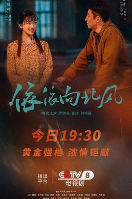 依依向北风 (2025)海报