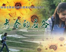 青春的应答 (2013)海报