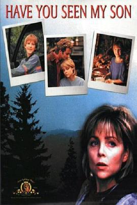 母子情深 Have You Seen My Son (1996)海报