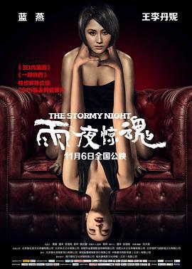 雨夜惊魂 (2015)海报