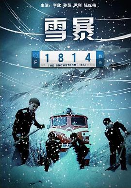 雪暴1814 (2010)海报