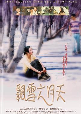 飘雪六月天 飄雪六月天 (2004)海报