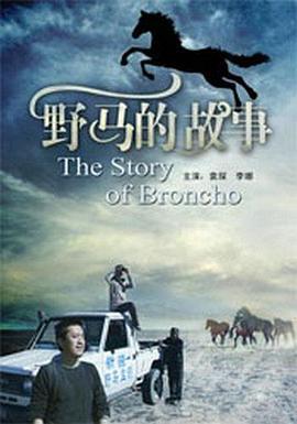 野马的故事 (2011)海报