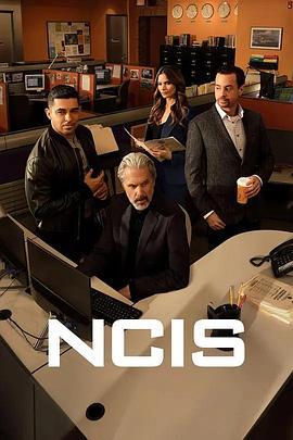 海军罪案调查处 第二十三季 NCIS: Naval Criminal Investigative Service Season 23 (2025)海报