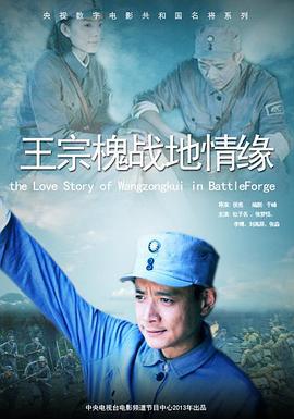 王宗槐战地情缘 (2013)海报
