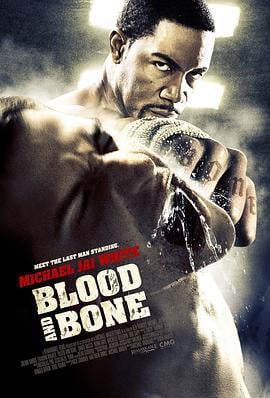 血与骨 Blood and Bone (2009)海报