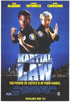 卧底飞龙 Martial Law (1991)海报