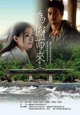 为你而来 (2012)海报