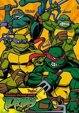忍者神龟 第二季 Teenage Mutant Ninja Turtles Season 2 (2003)海报