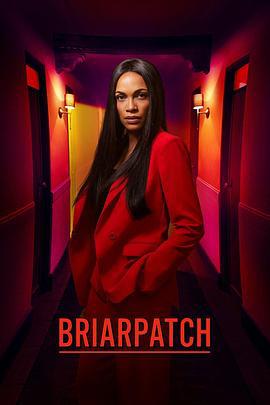 荆棘丛 Briarpatch (2020)海报