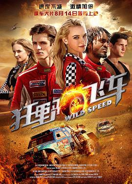 狂野飞车 (2015)海报
