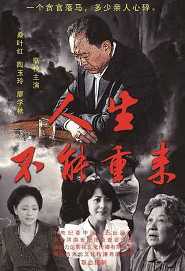 人生不能重来 (2013)海报