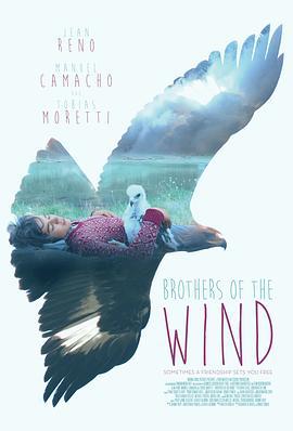 追鹰日记 Brothers of the Wind (2015)海报