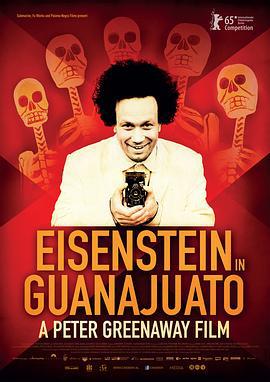 爱森斯坦在瓜纳华托 Eisenstein in Guanajuato (2015)海报