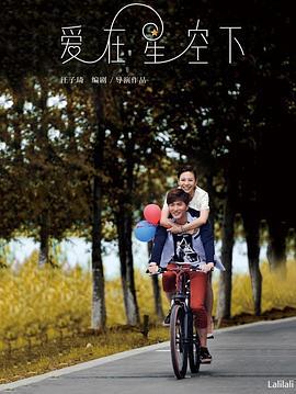 爱在星空下 (2016)海报