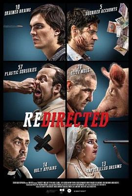 杀回归家路 Redirected (2014)海报