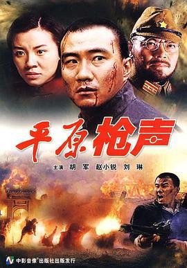 平原枪声 (2001) bd海报