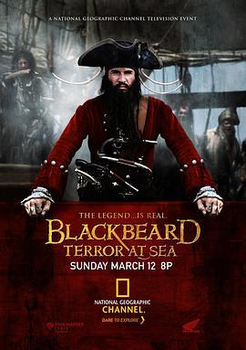 绿林好汉海盗船长黑胡子 Blackbeard: Terror at Sea (2006)海报