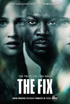 弥补 The Fix (2019)海报