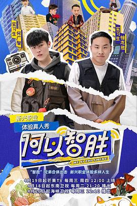 何以智胜 (2023) xian_dao_pian海报