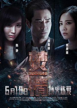 焚情 (2022)海报