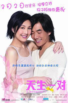 天生一对 (2006)海报
