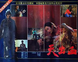 天出血 (1991)海报