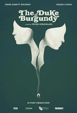 勃艮第公爵 The Duke of Burgundy (2014)海报