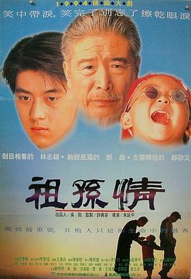 祖孙情 祖孫情 (1995)海报