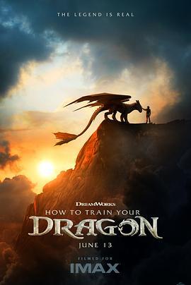 驯龙高手 How to Train Your Dragon (2025)海报