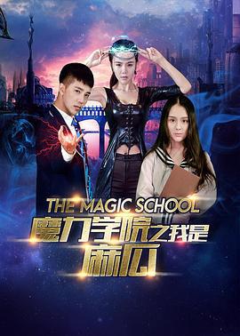 魔力学院之我是麻瓜 (2016)海报