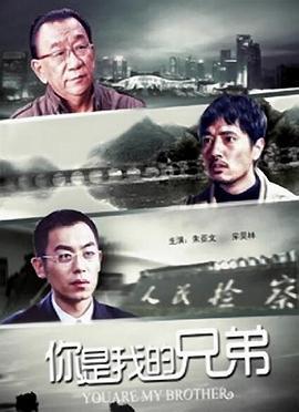 你是我的兄弟 (2011)海报