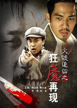 火线追凶之狂魔再现 (2009)海报