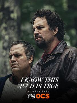 我知道这是真的 I Know This Much Is True (2020)海报