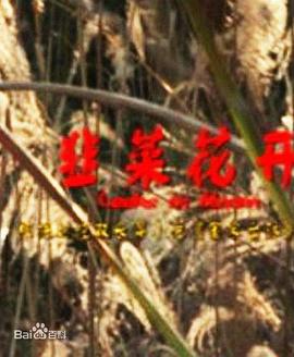 韭菜花开 (2011)海报
