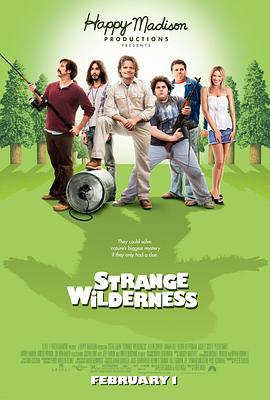 陌生荒漠 Strange Wilderness (2008)海报