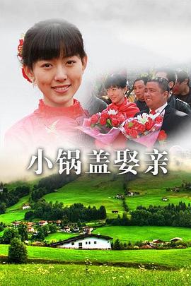 小锅盖娶亲 (2011)海报