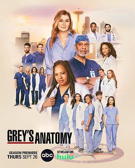 实习医生格蕾 第二十一季 Grey's Anatomy Season 21 (2024)海报