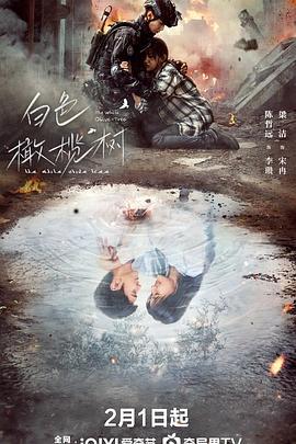 白色橄榄树 (2025)海报