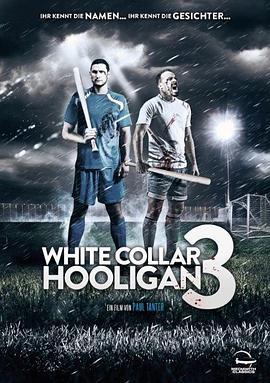 白领流氓3 White Collar Hooligan 3 (2014)海报