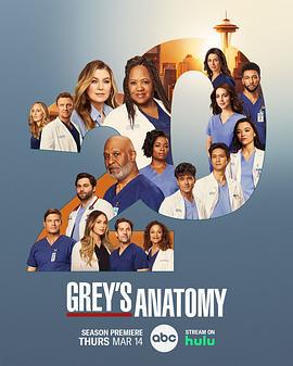 实习医生格蕾 第二十季 Grey’s Anatomy Season 20 (2024)海报
