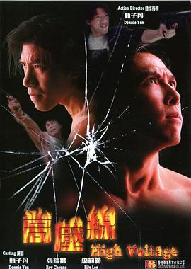 亚洲警察之高压线 亞洲警察之高壓線 (1995) dvd海报