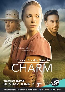 回头遇到爱 Love Finds You in Charm (2015)海报