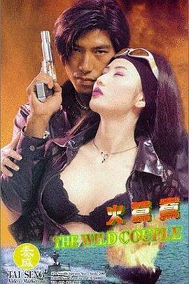 火鸳鸯 火鴛鴦 (1996)海报