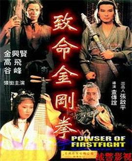 致命金刚拳 (1993)海报