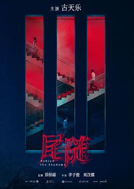 私家侦探 尾隨 (2025) guo_yu_zhong_zi海报